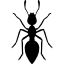 free-icon-ant-47288