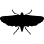free-icon-moth-insect-shape-47205